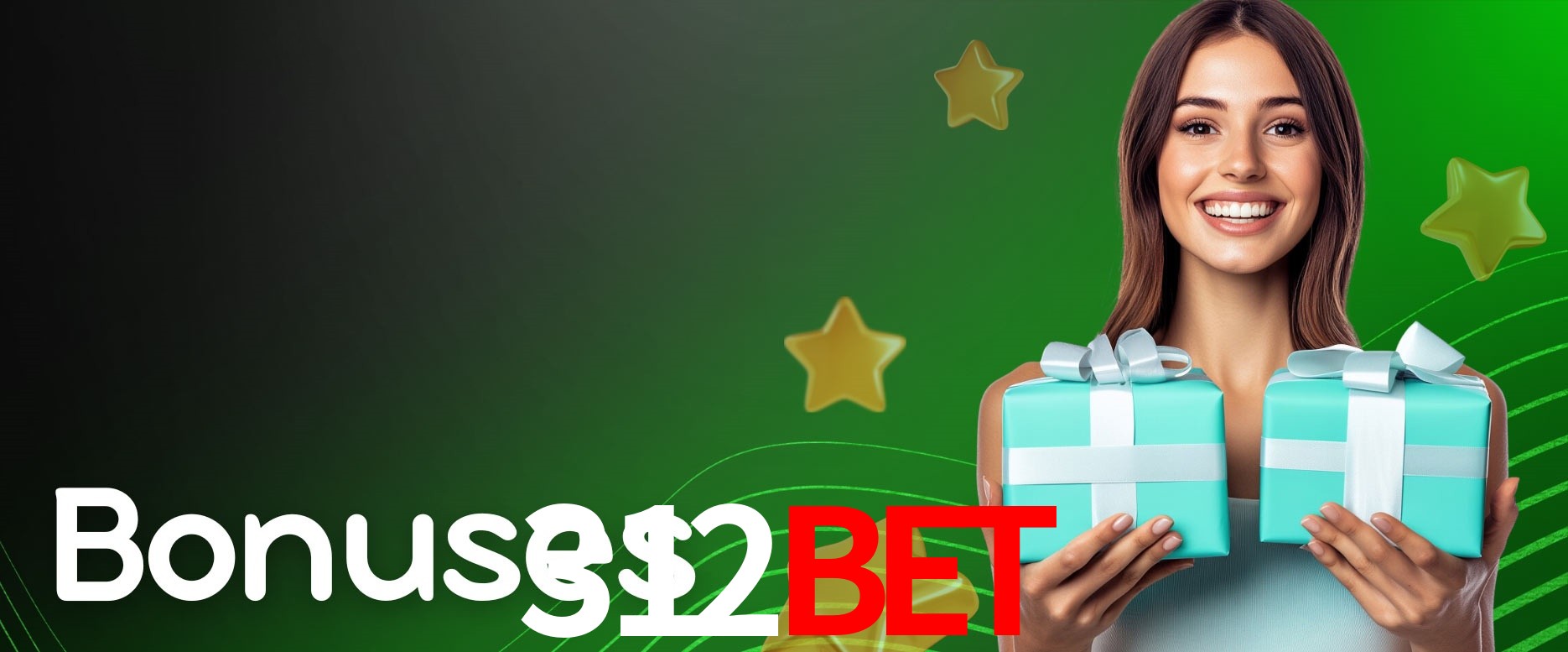 Security Systems 312BET